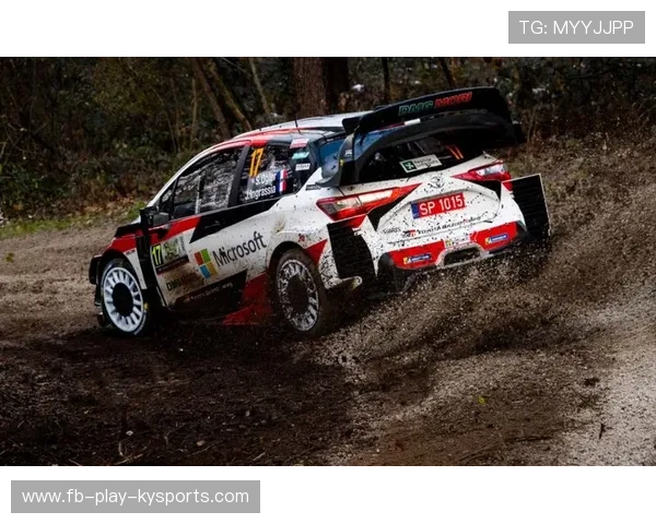 WRC赛道巡礼：探索全球最具挑战的拉力赛道，wrc拉力赛车所有车型 2019