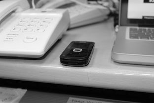 开云体育APP下载-技术数据揭示冠军转身平均仅0.65秒，冠军转盘