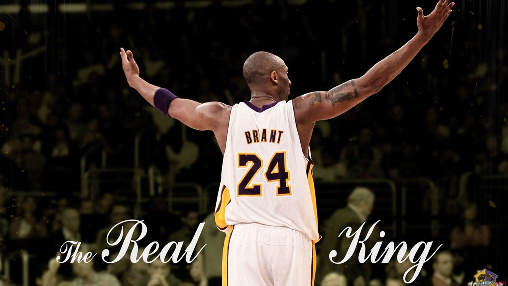 体育赛事影响力排行榜新一期榜单出炉，体育赛事价值排行