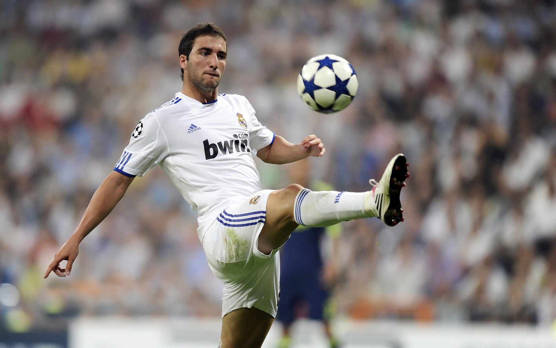 美洲杯明星争霸：激情、拼搏不停歇！，美洲杯选手